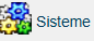 icon_sisteme